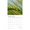 Simplicity | 2026 12 x 24 Inch (Hanging) Monthly Square Wall Calendar | Foil Stamped Cover